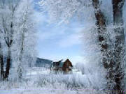 winter01.jpg